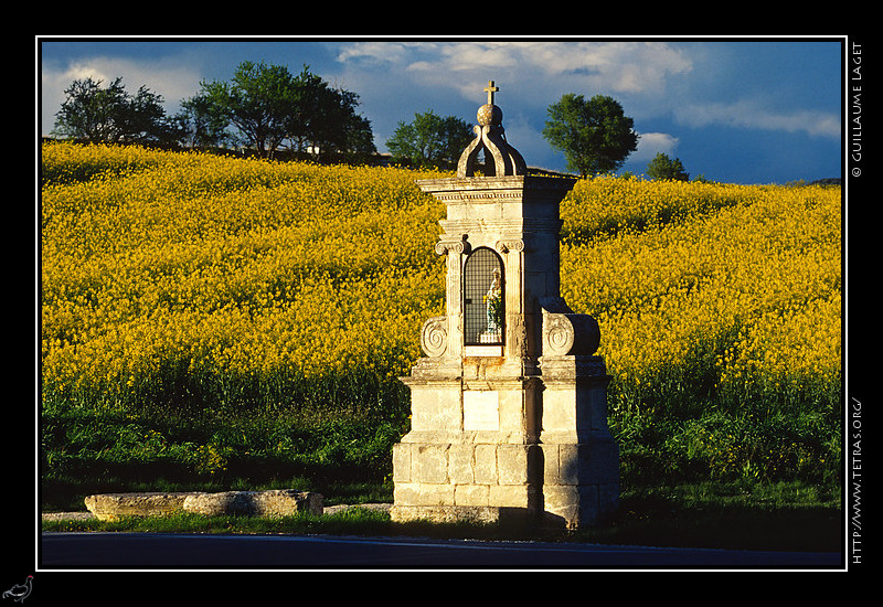 Luberon :  l'entre du village de Murs, un oratoire sur fond de champ de colza en
fleurs. Au loin le mistral souffle, dgage le ciel et fait plier les amandiers