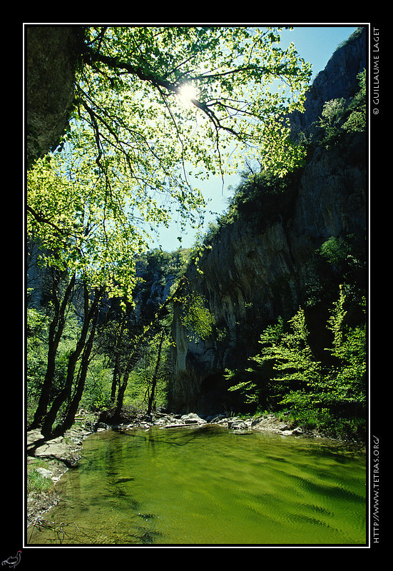 Luberon : En ce dbut de printemps, peu d'eau dans le Calavon au fond des gorges d'Oppedette, mais
assez pour rpondre au vert des feuilles nouvelles