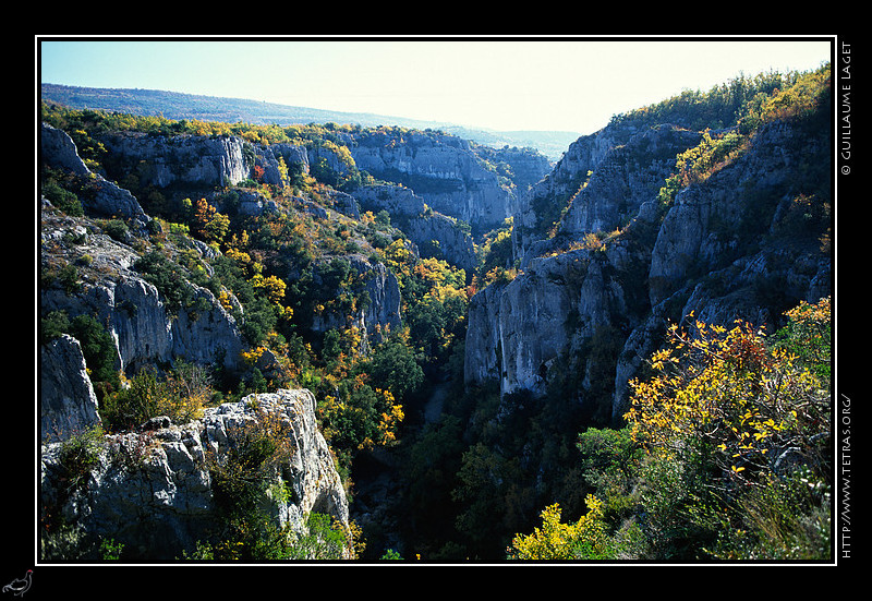 Luberon : Les gorges d'Oppedette  l'automne depuis un belvdre sur le plateau, en rive droite du Calavon