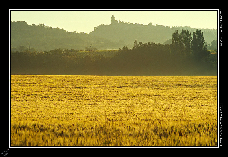 Luberon : Le village de Reillanne au lever du jour, derrire les champs de bl