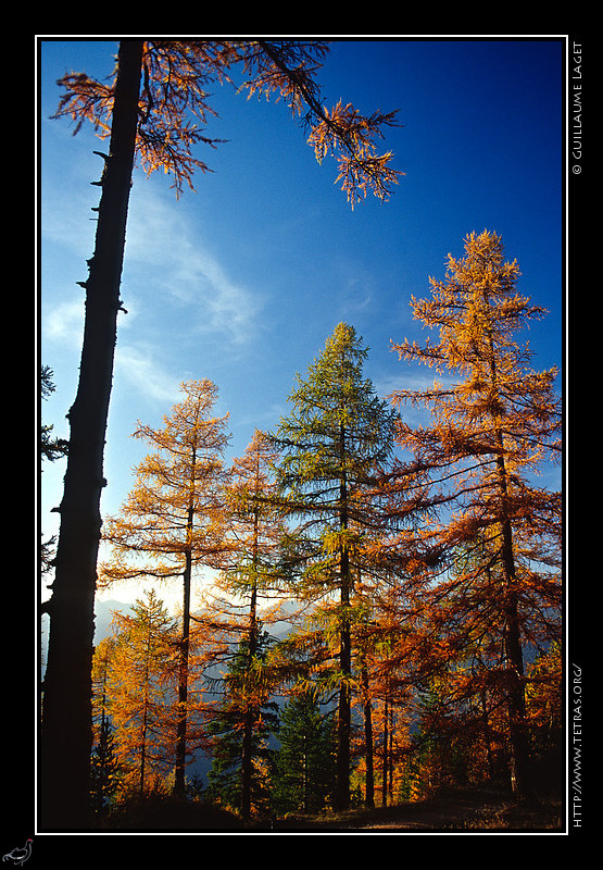Queyras : Mlzes  l'automne sur la route du sommet Bcher
