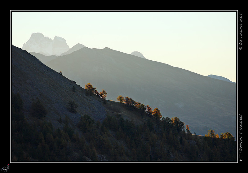 Queyras : Le Mont Viso merge derrire des crtes Queyrassines