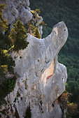 Chartreuse : Le rocher du Caiman, au dessus du couloir du Fourneau