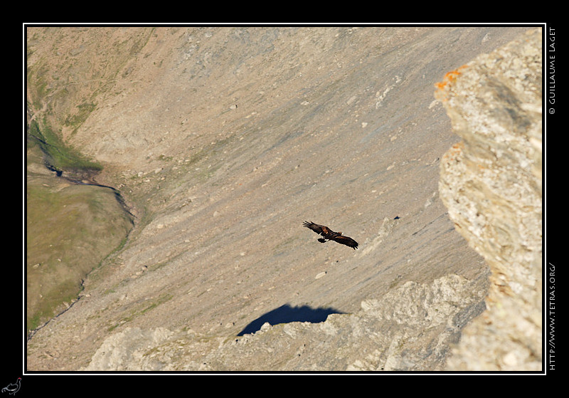 Rcits de randonnes : Et, pendant que j'admirait et photographier le paysage...un aigle pos juste en dessous de moi s'est envol...
 
