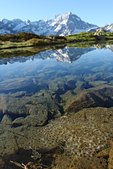 Ecrins : Reflet du Sirac dans le lac Bleu