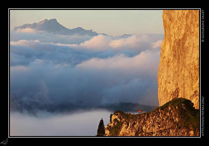 Rcits de randonnes : Le Grand Ferrand au dessus des brumes, et les falaises sous les rochers du Playnet, au dessus du Pas Ernadant 
