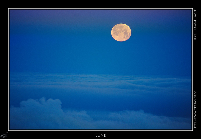 Rcits de randonnes : Depuis le sommet du Moucherotte, la lune se couche au dessus d'une mer de nuages