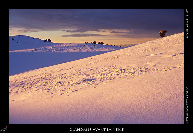 Rcits de randonnes : Sur le Glandasse, un rayon de soleil entre deux chutes de neige