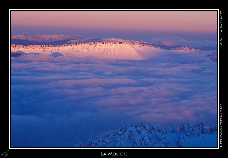 Rcits de randonnes : L'alpage de la Molire au dessus des nuages, depuis le Moucherotte