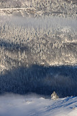 Vercors : Les brumes se dissipent au dessus de Gresse, entre alpage et forets