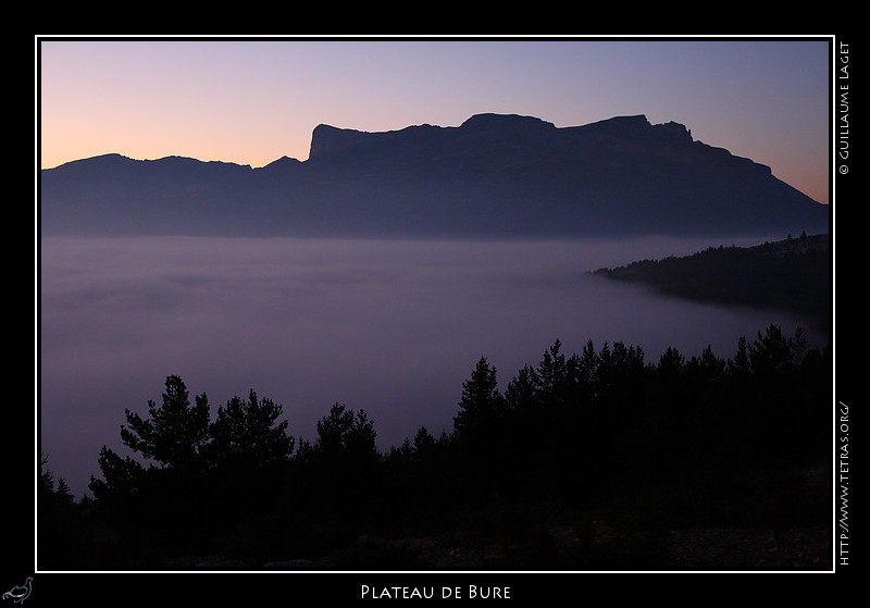 Rcits de randonnes : Le dbut de la monte dans le brouillard est vite rcompense par la vue du plateau de Bure au dessus des nuages bas de cette fin de nuit.
 
