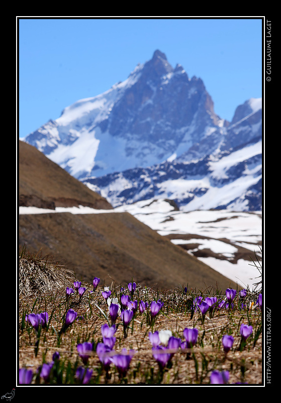 La photo de la semaine du site lumières de l'Alpe : montagne et paysage