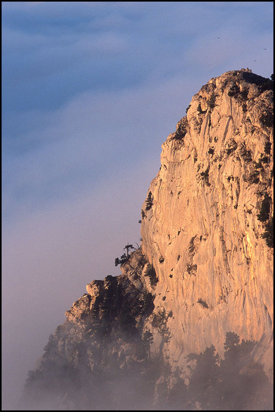Photo : Près du sommet du Moucherotte, dans le Vercors...une falaise émerge d'une haute mer de nuages, quelques chocards volent au dessus. 
