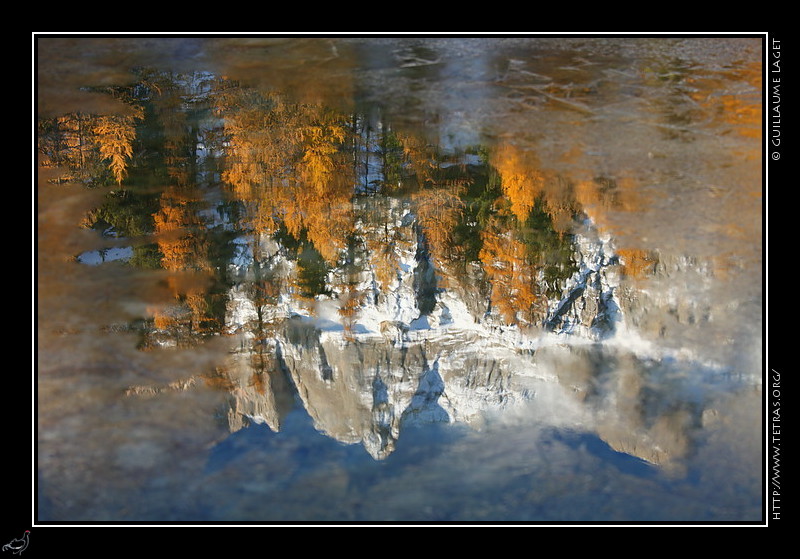 Photo : Mélèzes et cîmes enneigées se réflétant dans le bien nommé lac Miroir, dans le Queyras 
