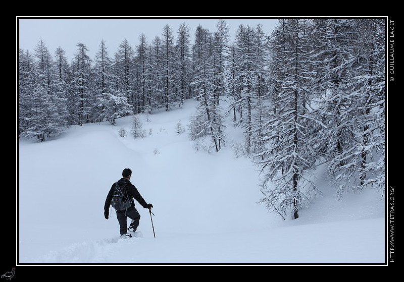 Photo : Dans la neige, vers Molines-en-Queyras 
