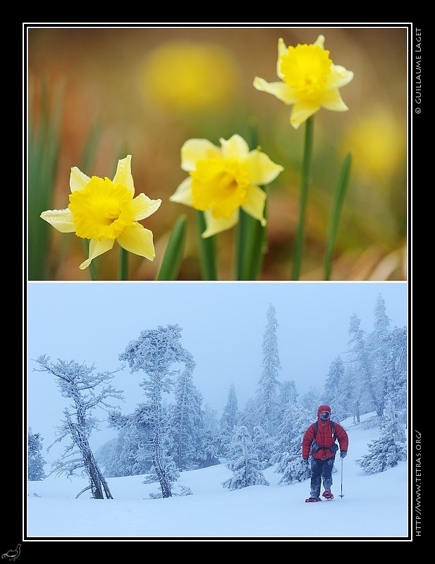 Photo : Le printemps et l'hiver mélangés... 
