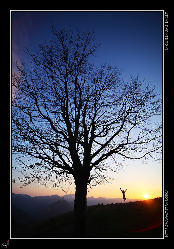 Photo : L'arbre de Rochassac 
