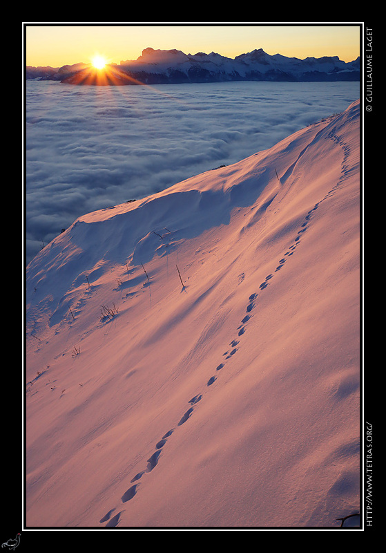 Photo : Lever en douceur, traces de lièvre sur la neige 

