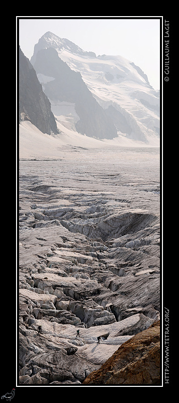 Photo : Du Glacier Blanc à la Barre des Écrins 
