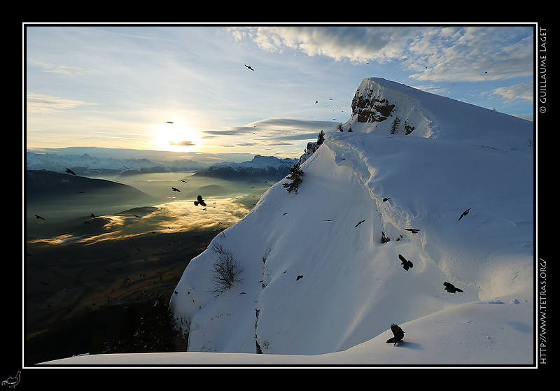 Photo : Cr�tes et chocards 
